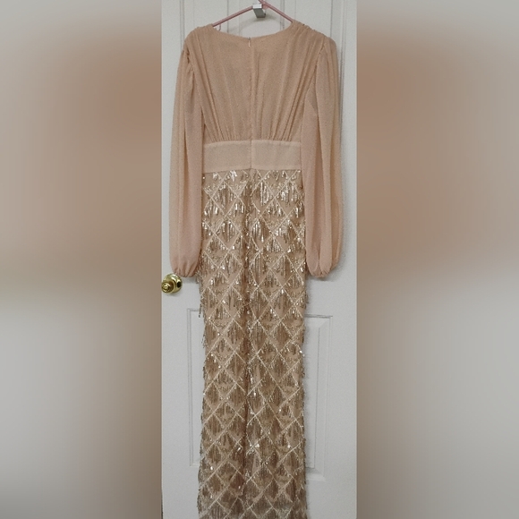 Miss Ord Lantern Sleeve Sequin Fringe Dress - Picture 2 of 8